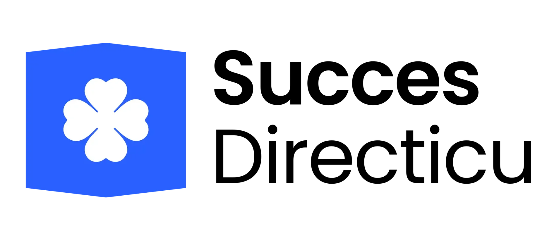 Succesdirecticiu logo